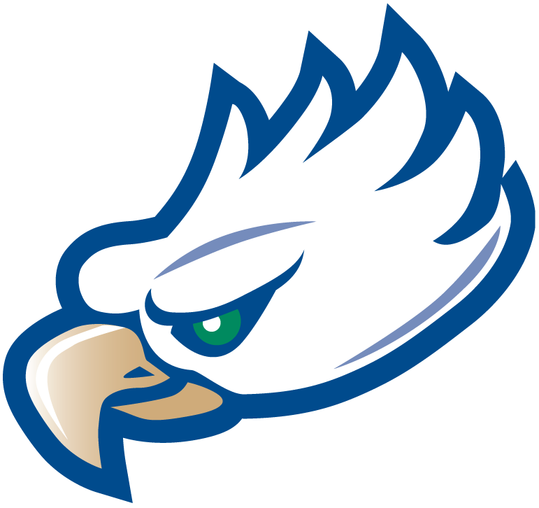 Florida Gulf Coast Eagles 2002-Pres Partial Logo iron on transfers for clothing